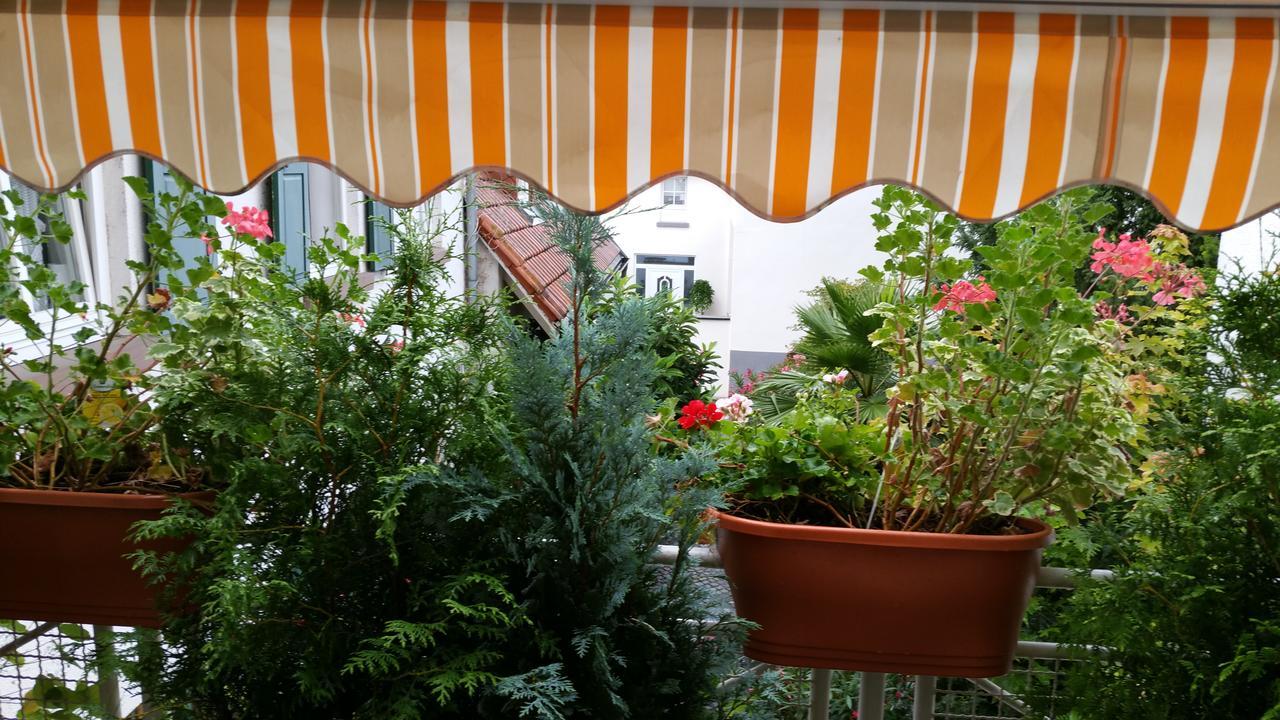 Landhaus Rebstock Worms Exteriér fotografie